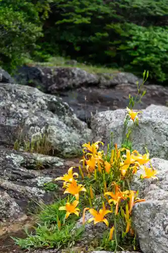 大御神社(宮崎県)