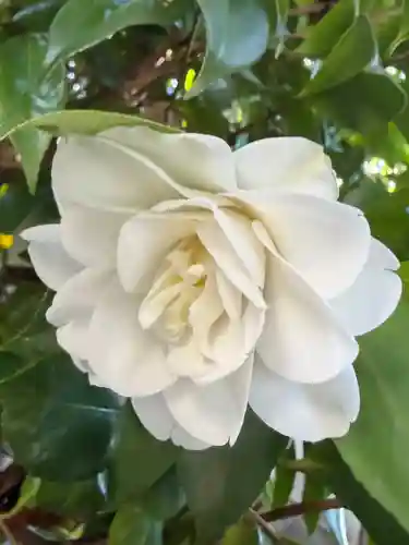 崇道天皇社(奈良県)