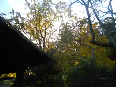 報国寺のその他建物