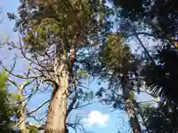 沼尾神社の自然