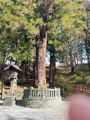 諏訪大社下社春宮(長野県)