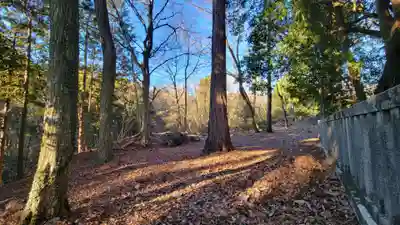 山宮浅間神社の周辺