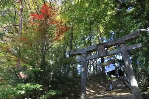 高松神社の鳥居