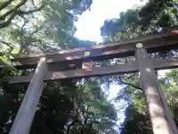 明治神宮の鳥居