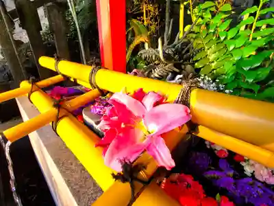 北岡神社の手水舎