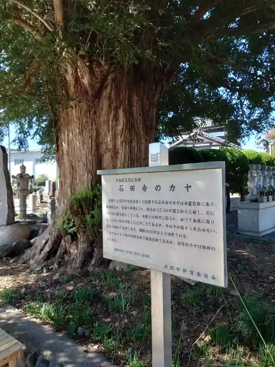 石田寺(東京都)