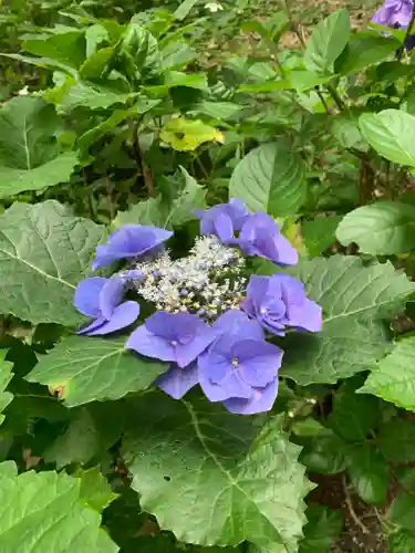 磯山神社の自然