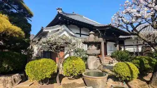 蓮華寺の本殿・本堂