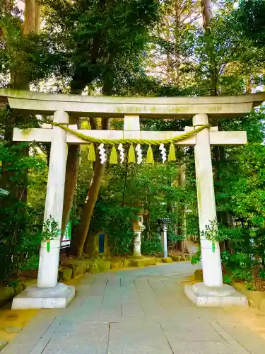 駒木諏訪神社の{uncategorized: "未分類", other: "その他", undefined: "問題あり", building: "その他建物", grave: "お墓", sacred_gate: "鳥居", guardian: "狛犬", statue: "像", buddha: "仏像", history: "歴史", nature: "自然", garden: "庭園", animal: "動物", pagoda: "塔", temizu: "手水舎", mountain_gate: "山門・神門", sanctuary: "本殿・本堂", subordinate: "末社・摂社", art: "芸術", scenery: "景色", jizo: "地蔵", ema: "絵馬", goshuin: "御朱印", omikuji: "おみくじ", items: "授与品その他", amulet: "お守り", goshuincho: "御朱印帳", eats: "食事", festival: "お祭り", votive_dance: "神楽", shichigosan: "七五三参", wedding: "結婚式", experience: "体験その他", initially: "初詣", around: "周辺", anti_infection: "感染症対策"}