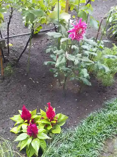 上野東照宮の自然