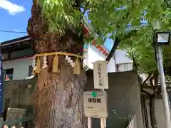 阿倍王子神社の自然