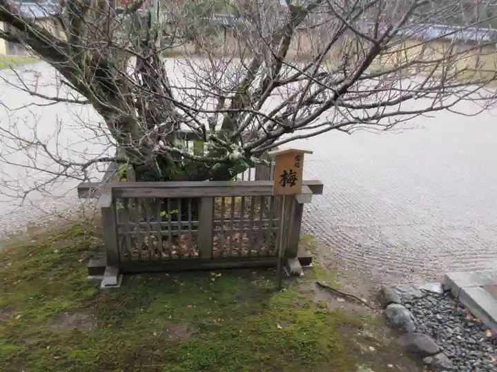 大覚寺(京都府)