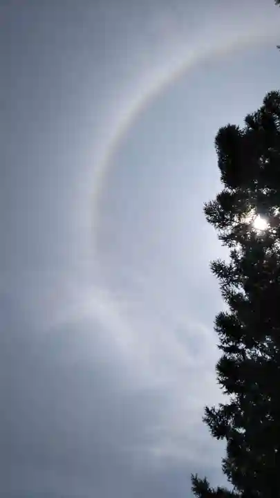 志賀理和氣神社の自然