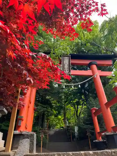 新倉富士浅間神社の鳥居