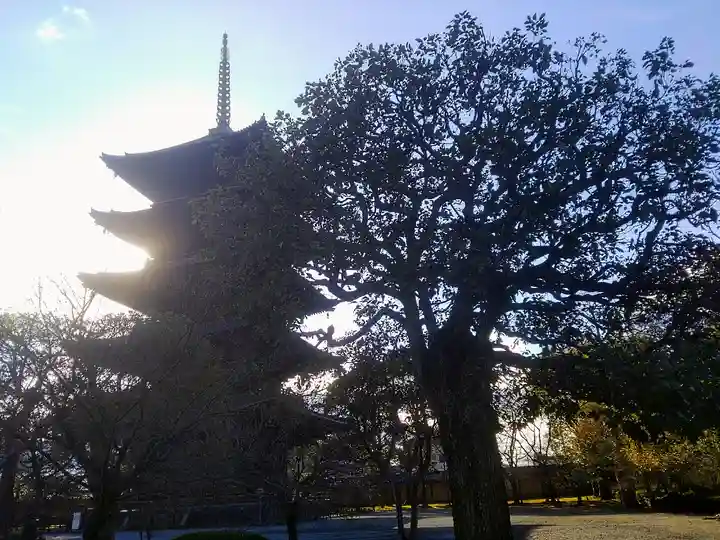 東寺(教王護国寺)(京都府)