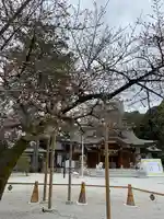 伊和志津神社(兵庫県)