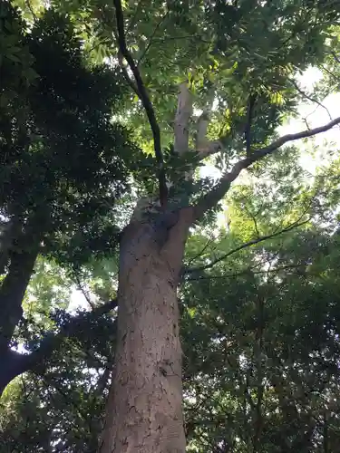 神鳥前川神社の自然