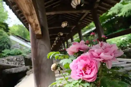 長谷寺(奈良県)