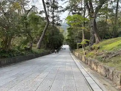 出雲大社(島根県)