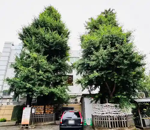 天祖神社(東京都)