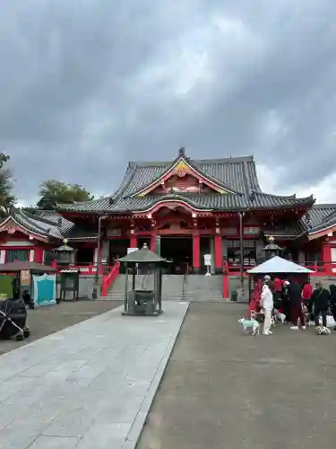 甚目寺(愛知県)