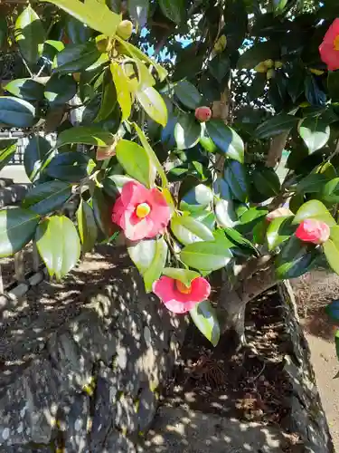 菅生神社(宮城県)