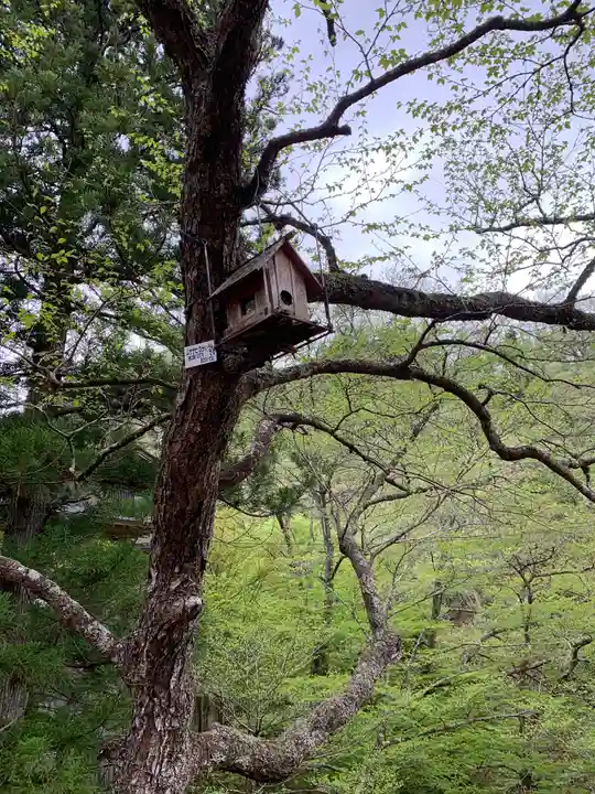 徳善院明王密寺の自然