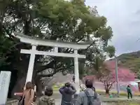川津来宮神社(静岡県)