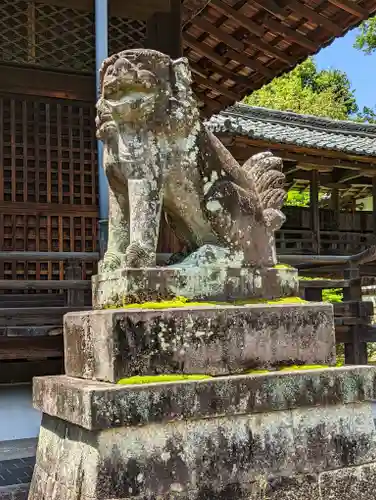 向日神社の狛犬