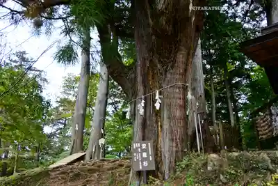 産安社(武蔵御嶽神社摂社)(東京都)