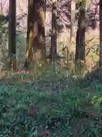 鹿島神社 本殿(栃木県)