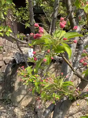 八事山 興正寺(愛知県)