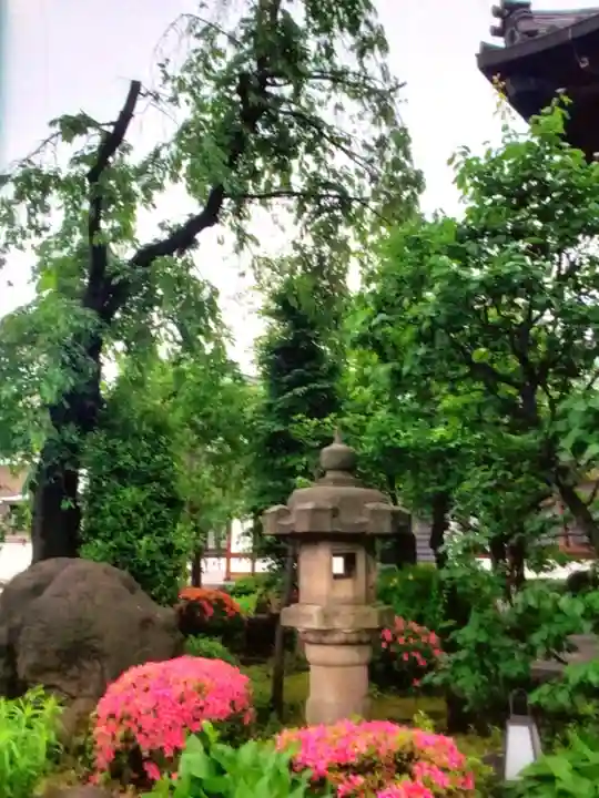 瑞円寺(東京都)