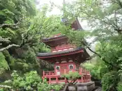 三室戸寺の塔