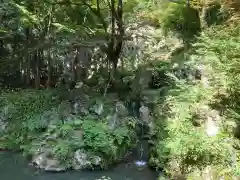 内々神社の自然