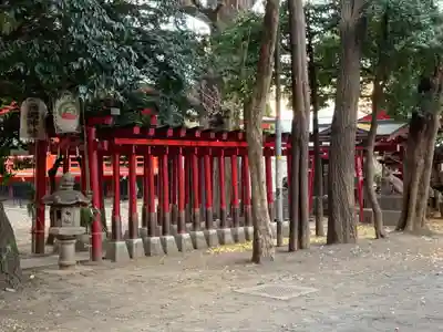 花園神社の鳥居