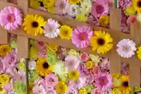 帯廣神社の手水舎