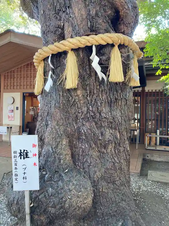 座間神社の自然