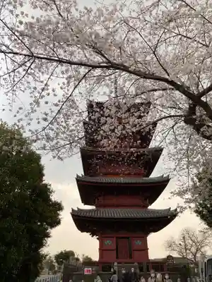 池上本門寺のその他建物