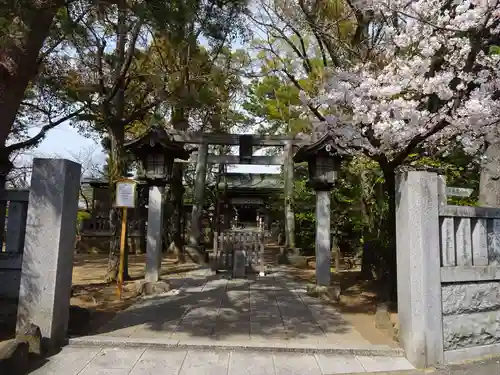 白幡天神社の鳥居