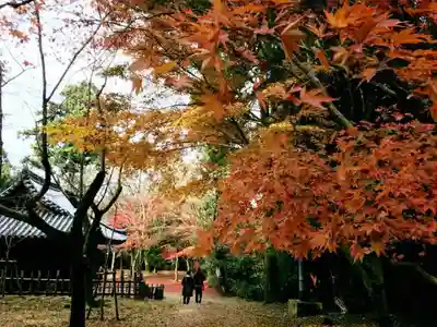 圓教寺のその他建物