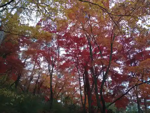 能仁寺(埼玉県)