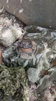 本満寺(本願満足寺)(京都府)