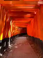 伏見稲荷大社の鳥居