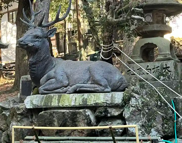 春日大社の{uncategorized: "未分類", other: "その他", undefined: "問題あり", building: "その他建物", grave: "お墓", sacred_gate: "鳥居", guardian: "狛犬", statue: "像", buddha: "仏像", history: "歴史", nature: "自然", garden: "庭園", animal: "動物", pagoda: "塔", temizu: "手水舎", mountain_gate: "山門・神門", sanctuary: "本殿・本堂", subordinate: "末社・摂社", art: "芸術", scenery: "景色", jizo: "地蔵", ema: "絵馬", goshuin: "御朱印", omikuji: "おみくじ", items: "授与品その他", amulet: "お守り", goshuincho: "御朱印帳", eats: "食事", festival: "お祭り", votive_dance: "神楽", shichigosan: "七五三参", wedding: "結婚式", experience: "体験その他", initially: "初詣", around: "周辺", anti_infection: "感染症対策"}