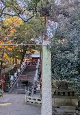 枚岡神社(大阪府)