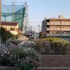 蒲原神社の自然