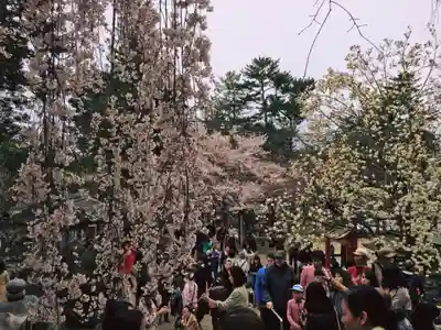 氷室神社のその他建物