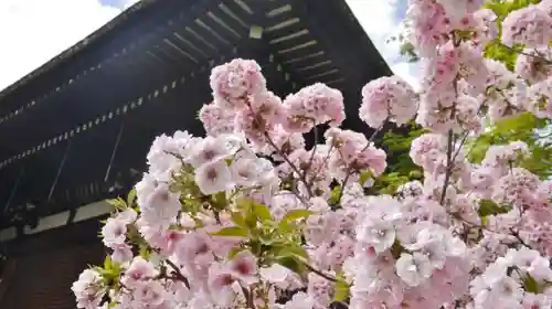 大報恩寺（千本釈迦堂）のその他建物