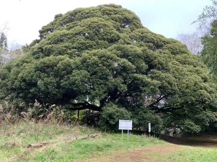 小鷹神社(千葉県)